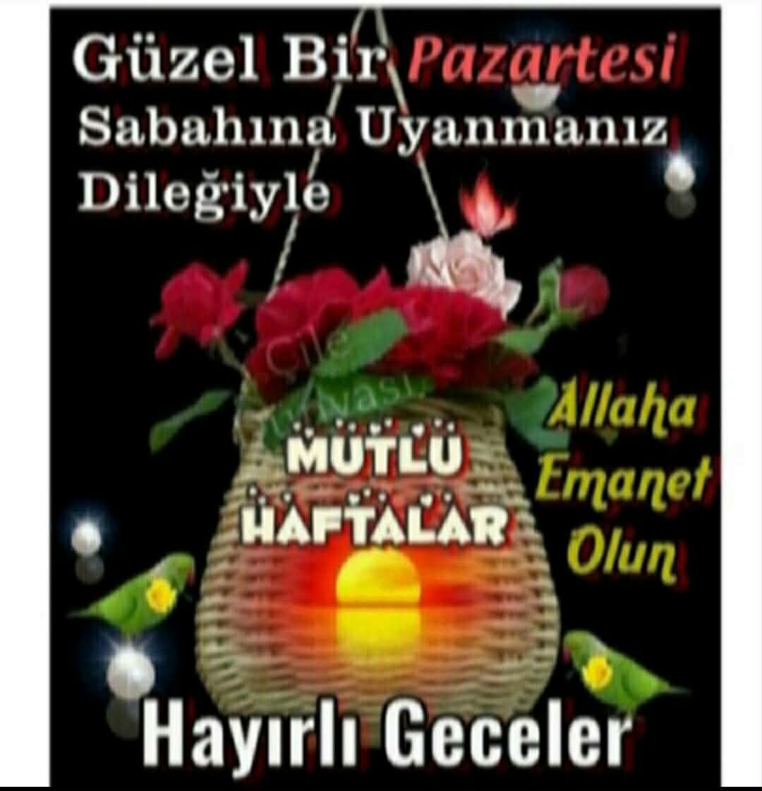Ben bir cumhuriyet kadınıyım . tweet media
