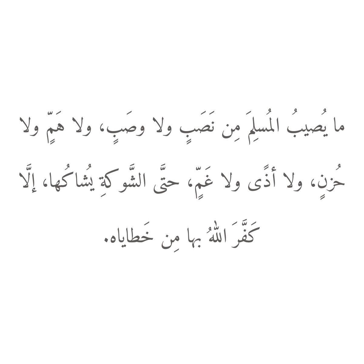 أنس المدخلي tweet media