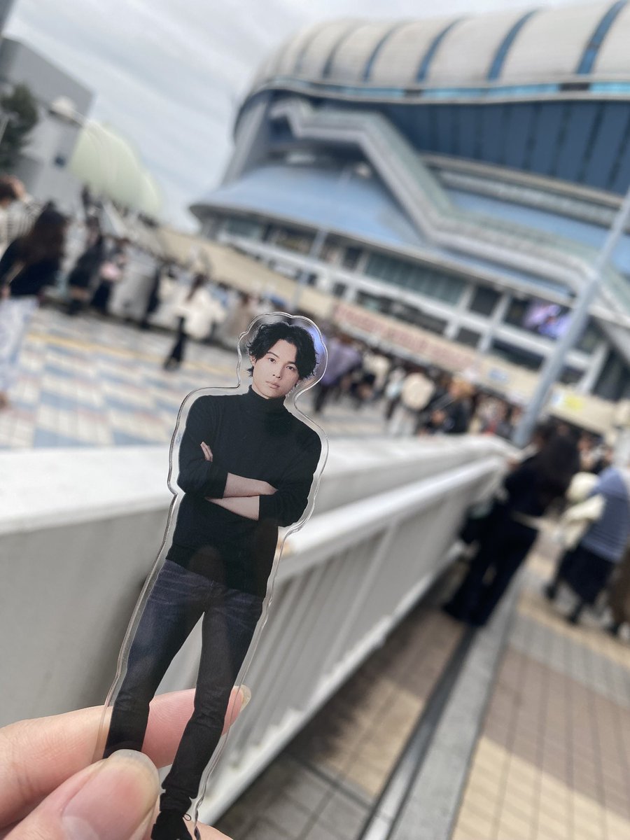 迷宮さんぽ tweet media
