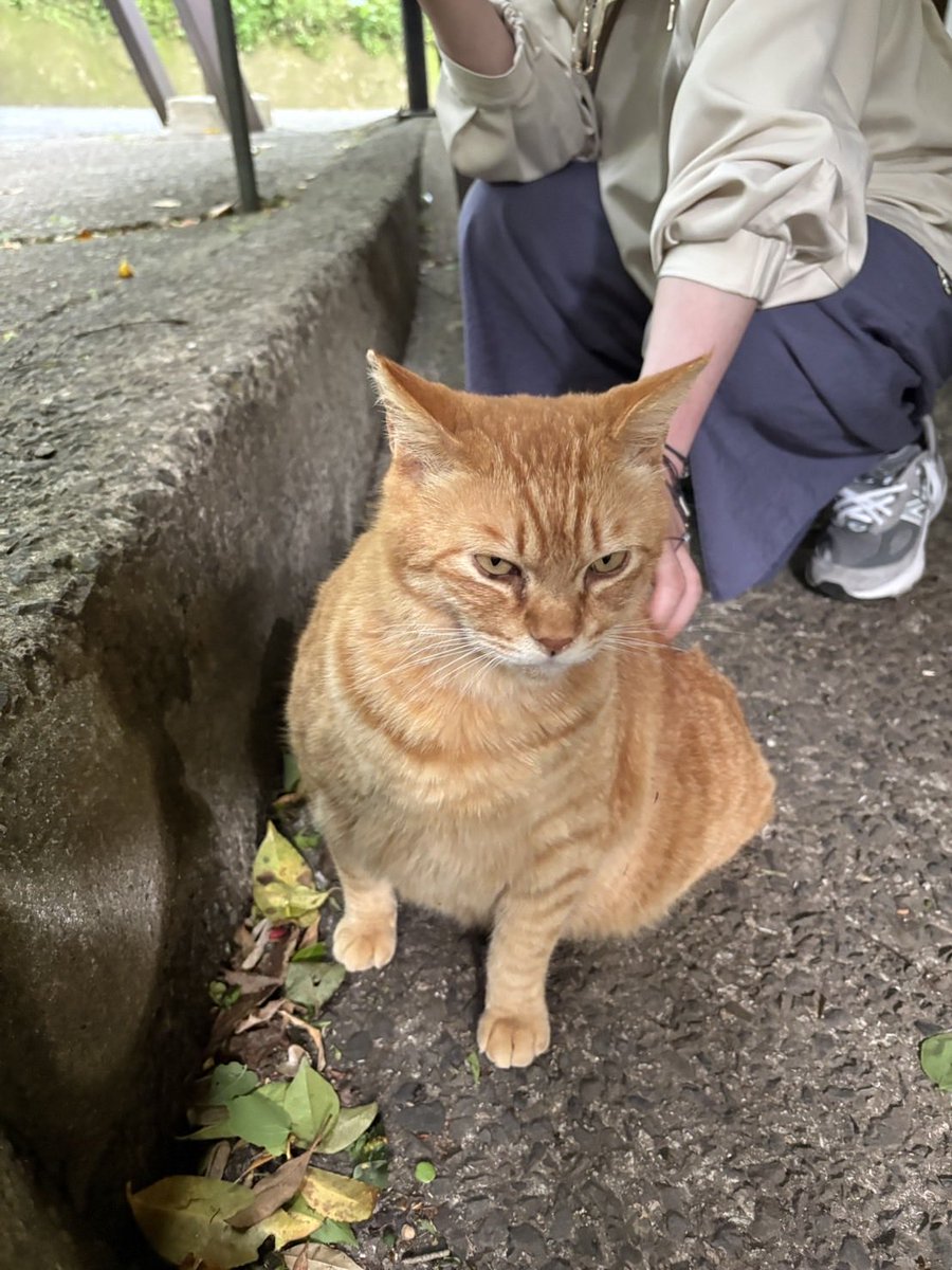 はるちん tweet media