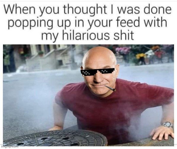 Captain Potcard™️ tweet media