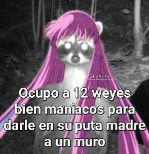 Cuenta que te avisa cuando se anima Next Dimension tweet media