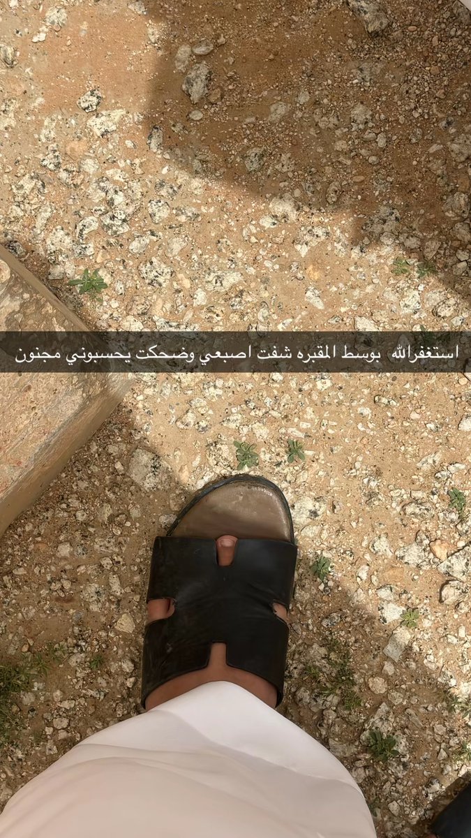 بيبو tweet media