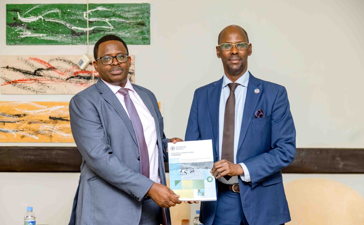 FAO in Rwanda tweet media