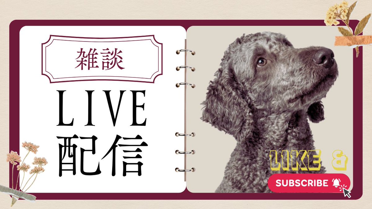 ハム-愛犬アヴィ tweet media