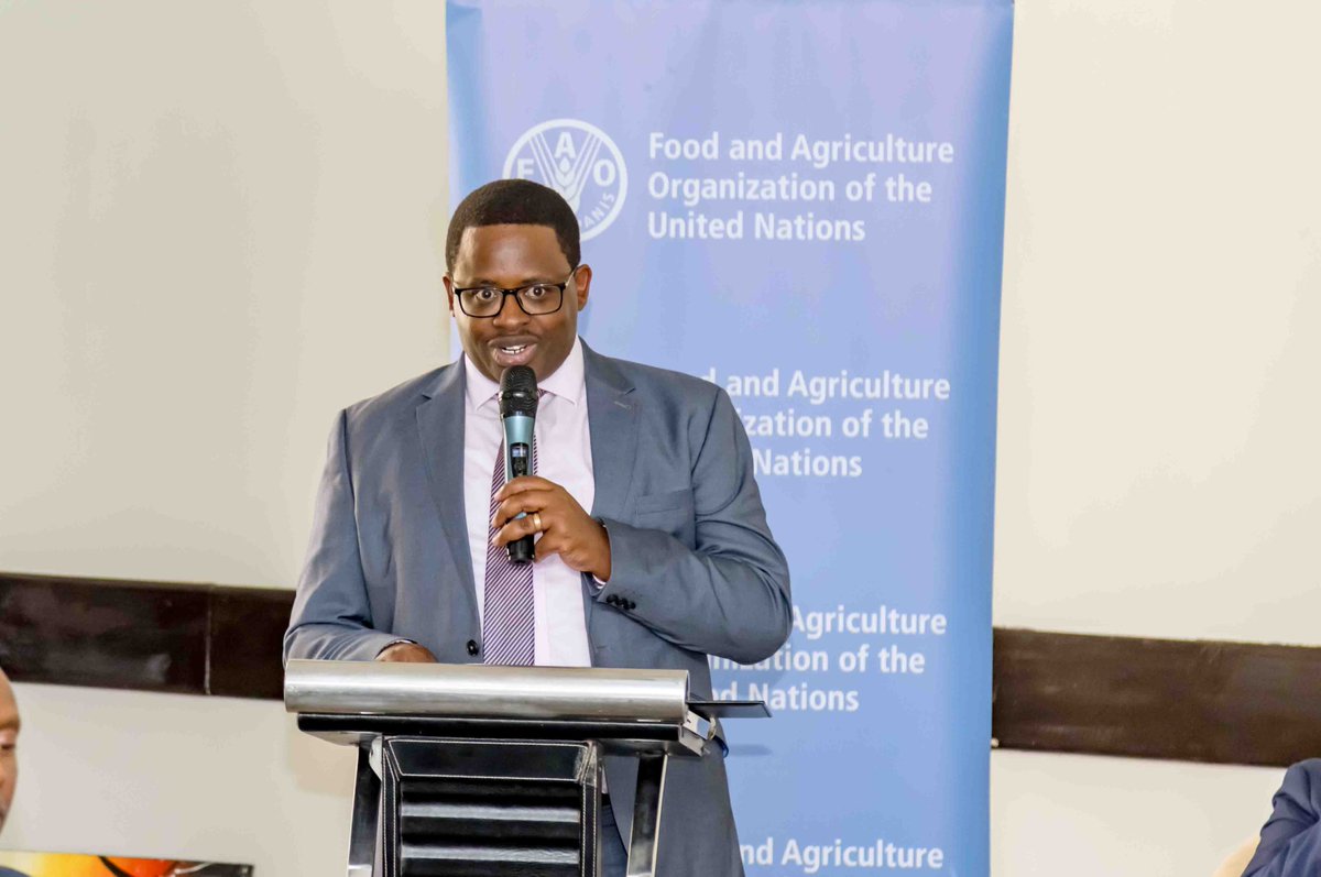 FAO in Rwanda tweet media