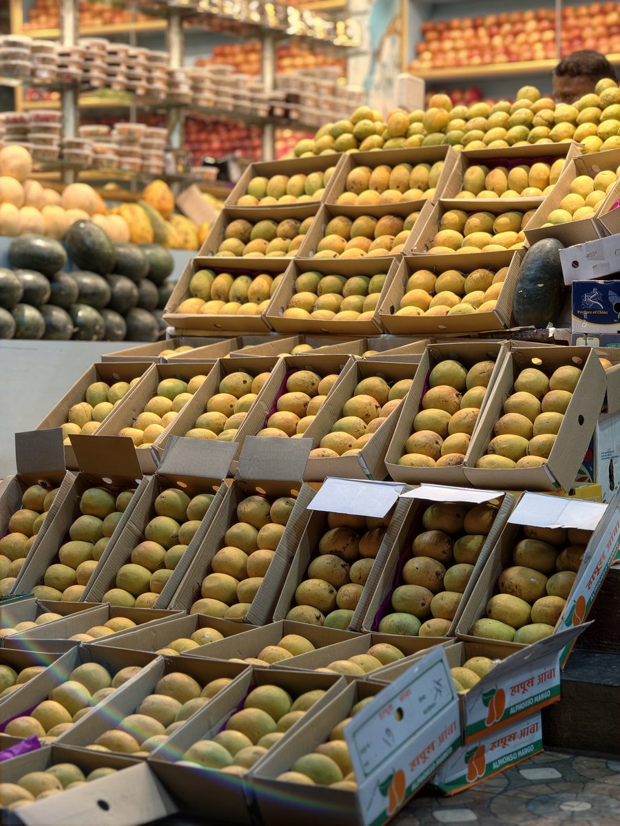 iManjunath_M's tweet photo. Mangoes.... Mangoes.... Mangoes...

Vivo x300 📸 https://t.co/KrcQhBRYpP