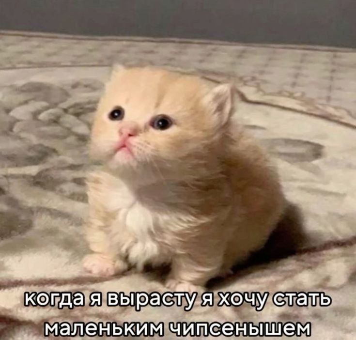mulzernort's tweet photo. @vetinarri С днём рождения! 🌈 https://t.co/xa74GnGabt