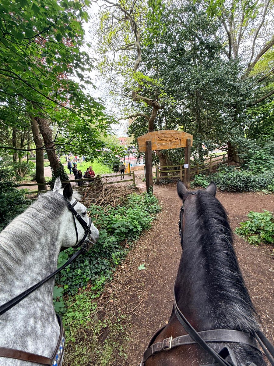 Mer Pol Mounted tweet media