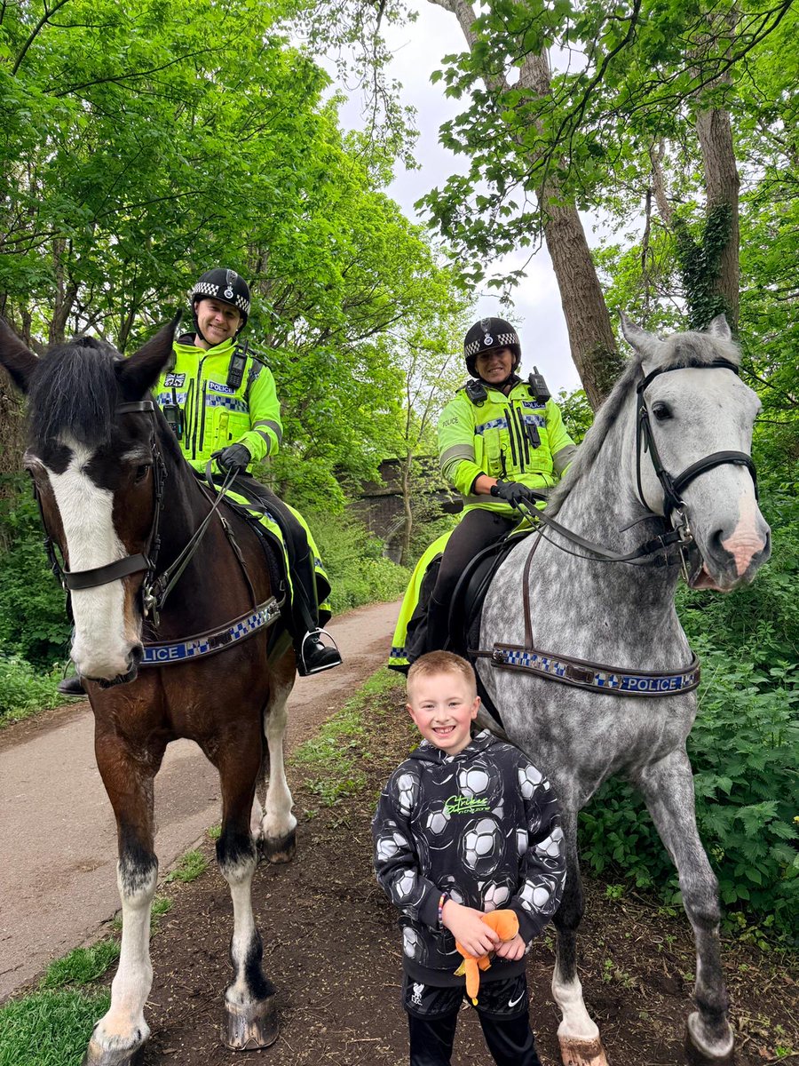 Mer Pol Mounted tweet media