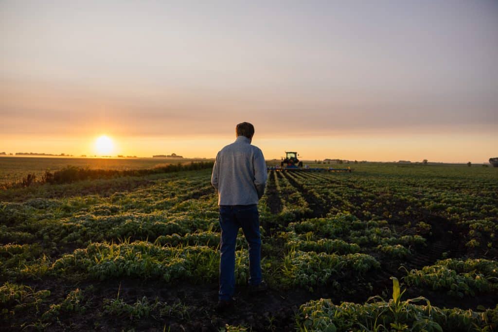 CliffGMJ's tweet photo. The Capital Farmers Actually Need -- by Elizabeth Candelario of Mad #Agriculture --   https://t.co/0xLVNTBwF2 via @3blnews and GreenMoney || @_MadAgriculture #farming #organics #food #farmers #capital #regenerative #biodiversity https://t.co/zDrPepBWqQ