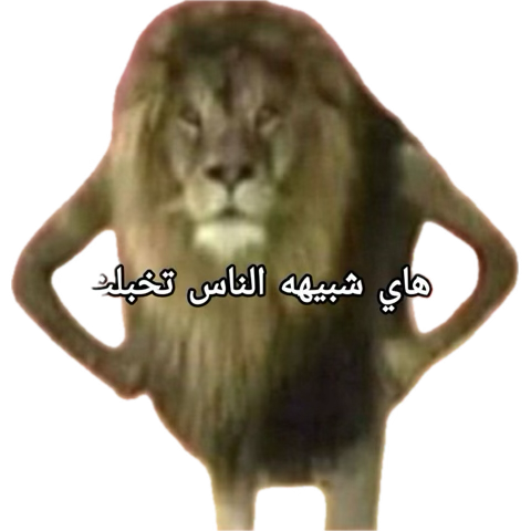 رووووهي ^^ tweet media