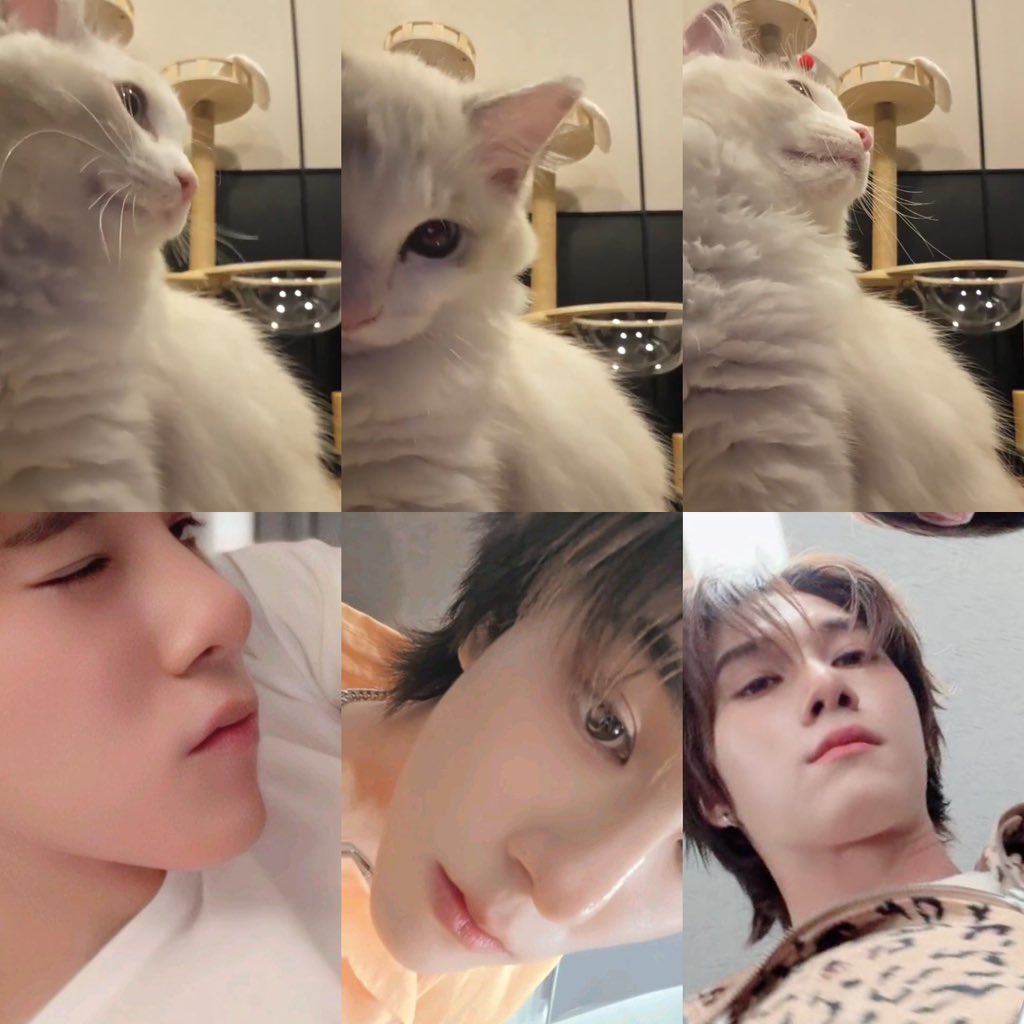เหมือนกานเป้ะ 🐈🐈