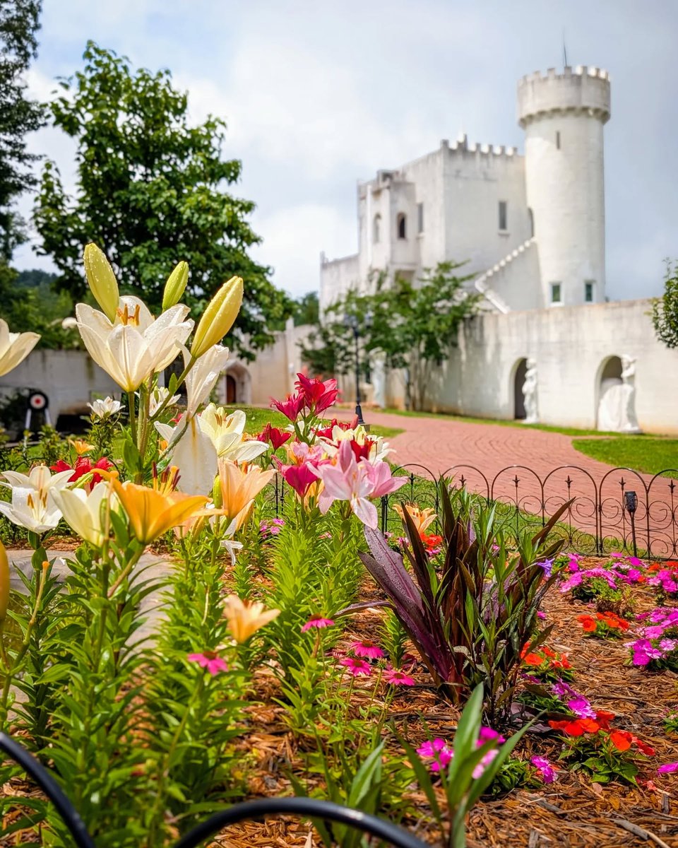 AlpineHelen's tweet photo. You probably didn’t expect this in #AlpineHelenGA. From castles and cabbage patch babies to carriages and coasters--even coffee with capybaras--add something unexpected to your summer plans.

https://t.co/bhFIiytxx0

Georgia Mountain Coaster
BabyLand General Hospital
Uhuburg, Eagle Owl Castle
Pegasus Horse Drawn Carriages
