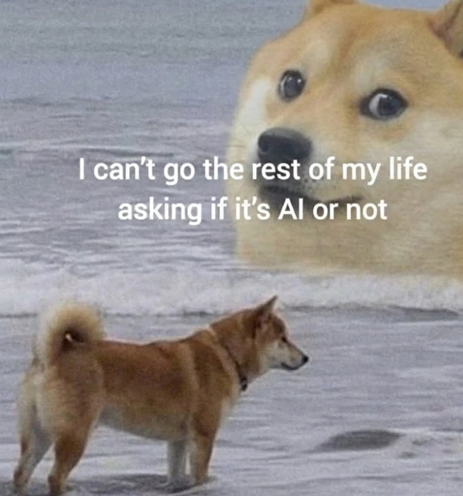 Sir Doge of the Coin ⚔️ tweet media