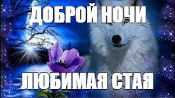 No, no, no, Mr. Fish tweet media