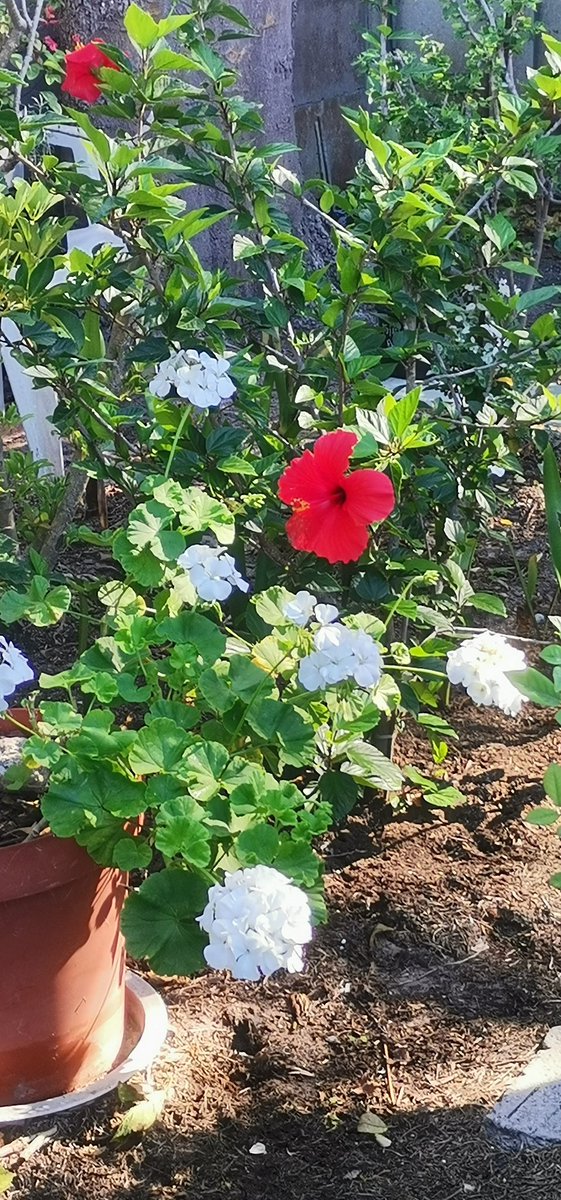 Stand out... Don't hide the beauty you possess..
