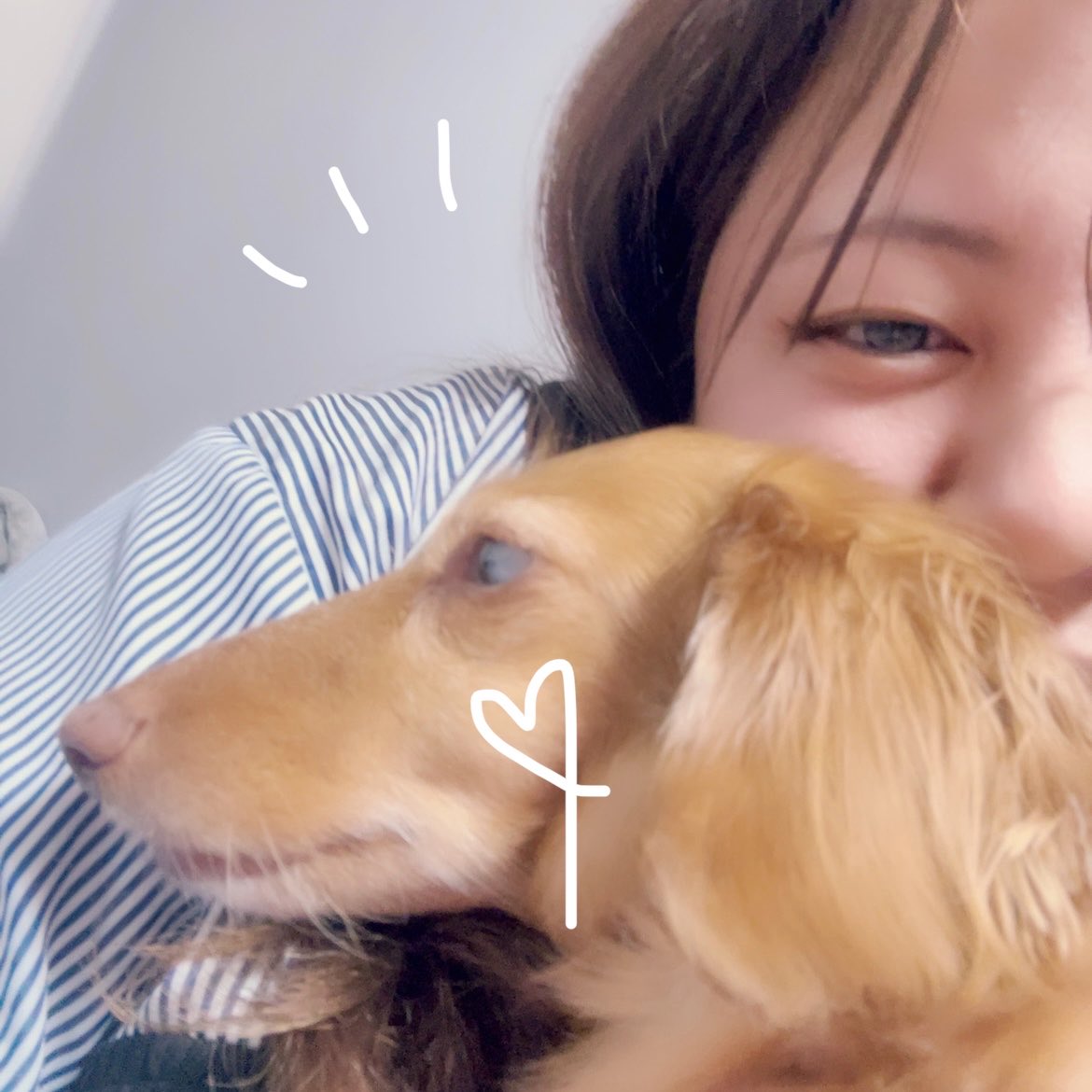 inoue tweet media