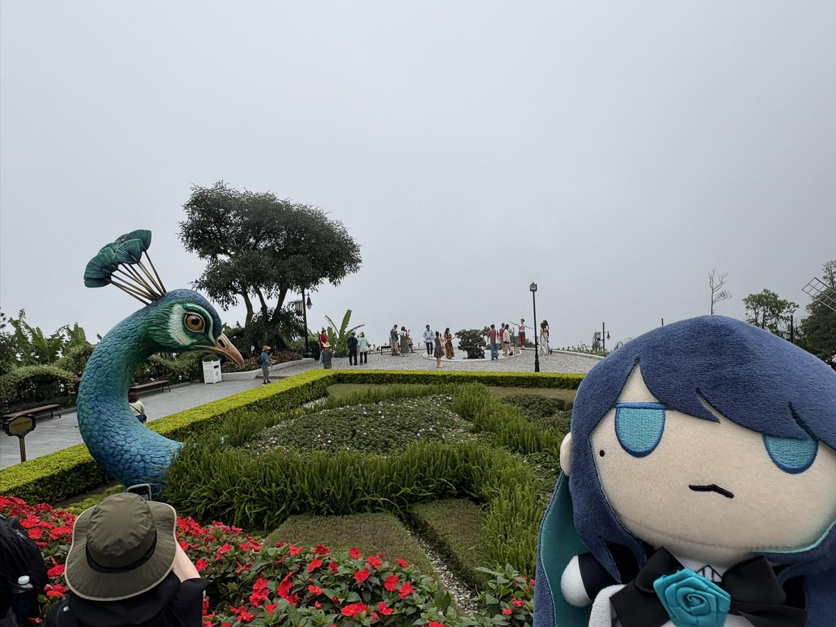 Ryo1024imokenp's tweet photo. ベトナム🇻🇳
#Adoぬい
#バーナヒルズ https://t.co/wo2V1tefNz