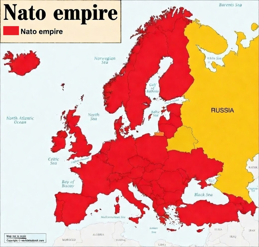 nwl tweet media