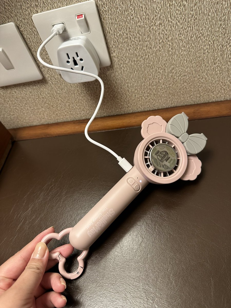 ろのポンタス@ポカホンタス仮装の人🍂🍃🧭🍪🦝🛶 tweet media