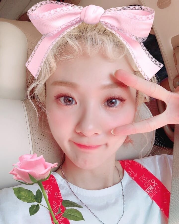 𝐜𝕝ö𝐯er'𝐬 ➶♡➴ 𝑏oo𝐤 ! tweet media