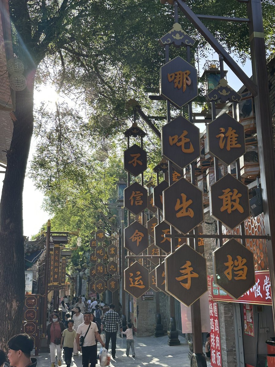 暖茶伴书 tweet media