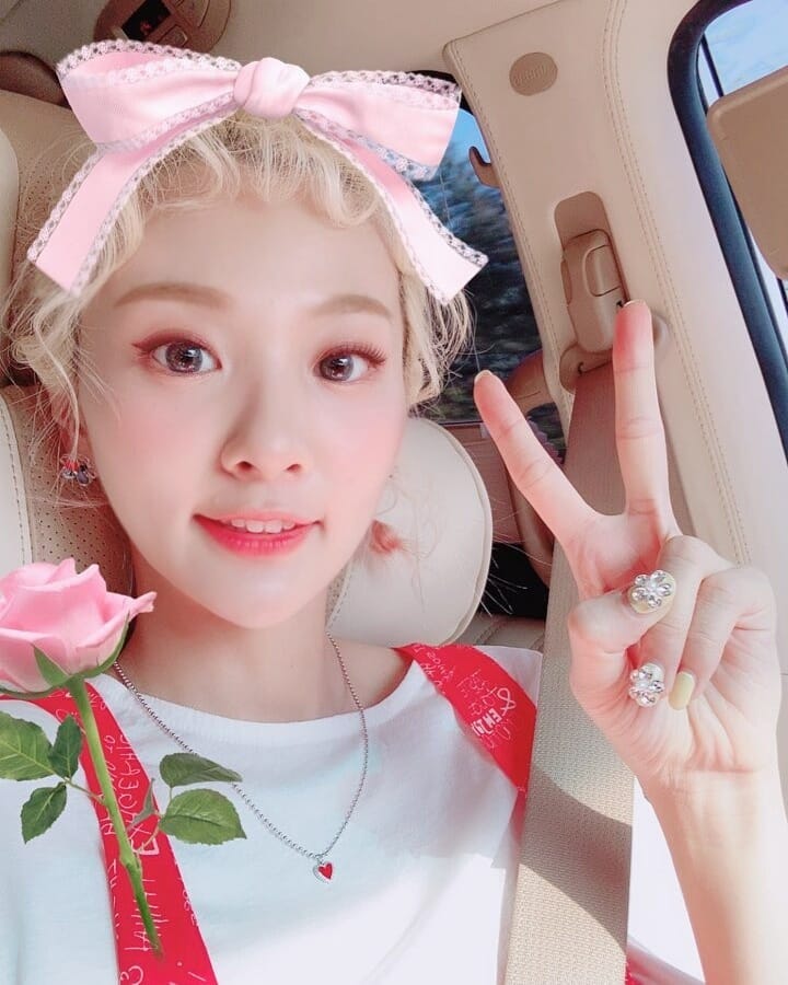 𝐜𝕝ö𝐯er'𝐬 ➶♡➴ 𝑏oo𝐤 ! tweet media