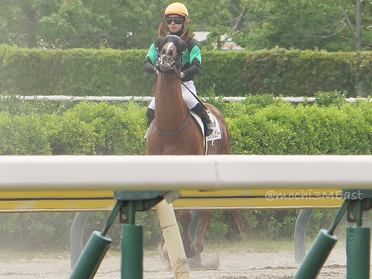 もにん@競馬 tweet media