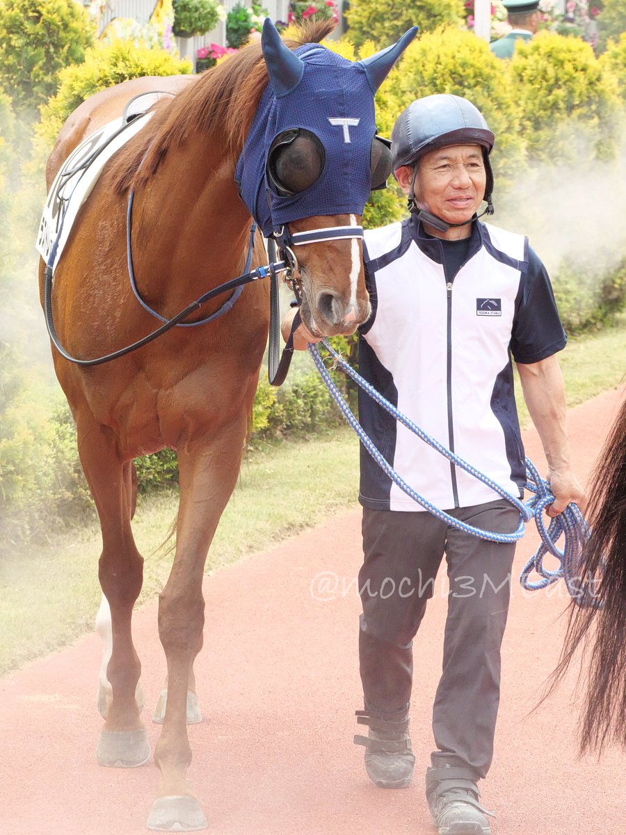 もにん@競馬 tweet media