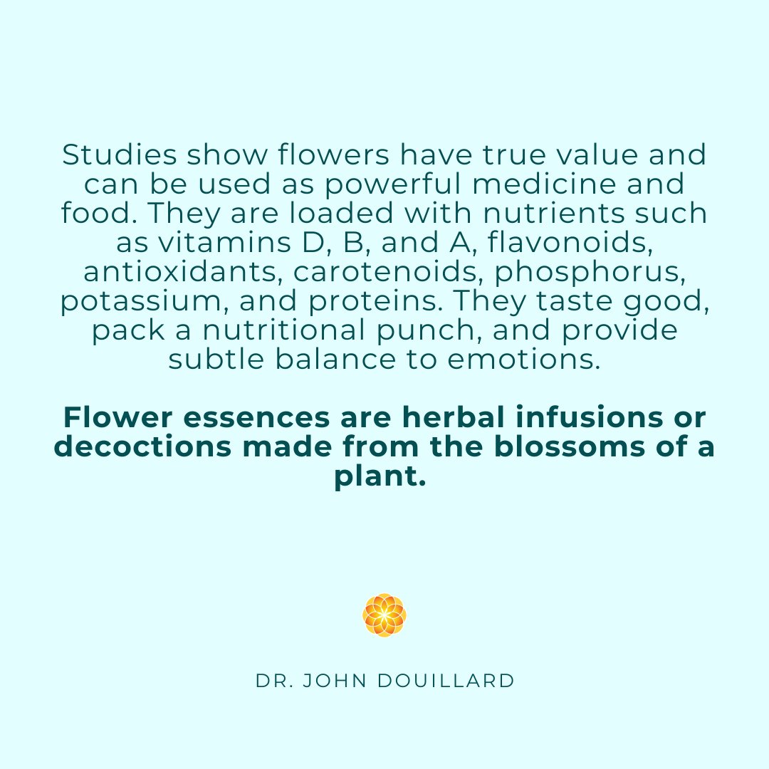 JohnDouillard's tweet image. Edible flowers; nature’s powerful tools for supporting both your mood and your body. 🌸 🌷

👉Check out my free Edible Flowers Monthly Bloom Guide eBook at LifeSpa.com 

#johndouillard #lifespa #ayurveda #edibleflowers #floweressences #springwellness