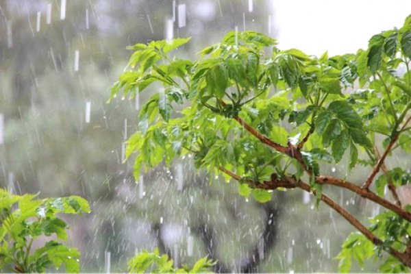 BohossouG's tweet image. Mon conseil du jour.

Des pluies inégales, des saisons parfois imprévisibles.
Le climat change et chacun doit s’y préparer. #Agriculteurs comme #populations, tous sont concernés pour mieux gérer l’#eau, éviter les #risques et #sécuriser leurs activités.

#Togo #Climat #Météo