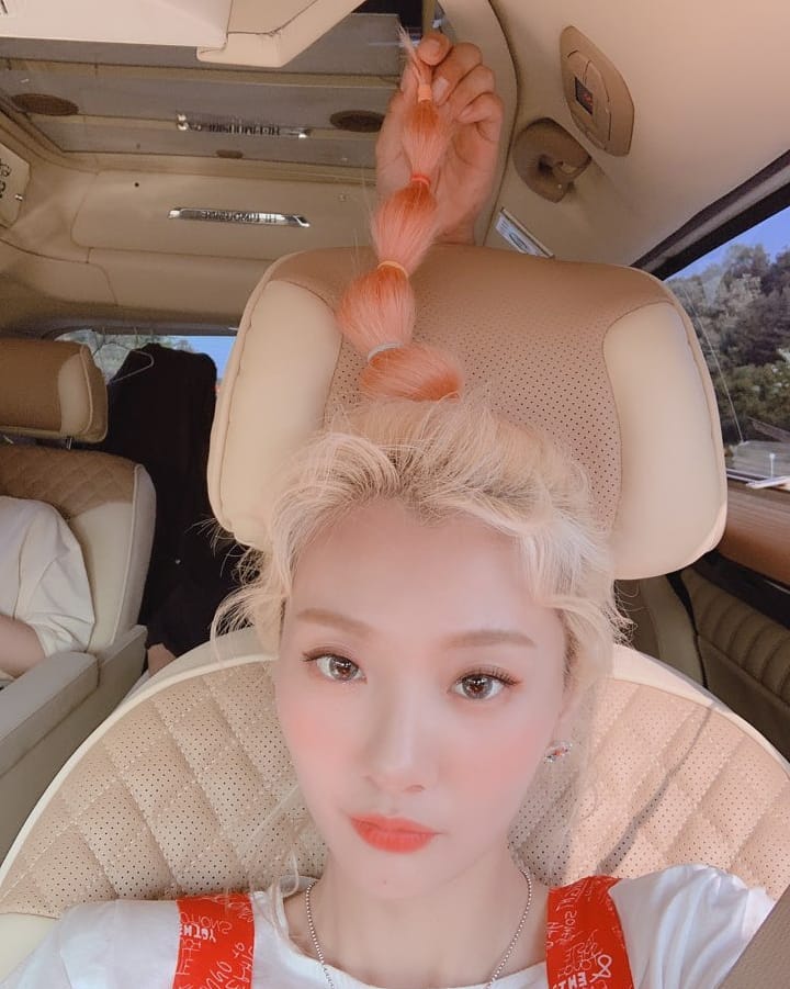 𝐜𝕝ö𝐯er'𝐬 ➶♡➴ 𝑏oo𝐤 ! tweet media