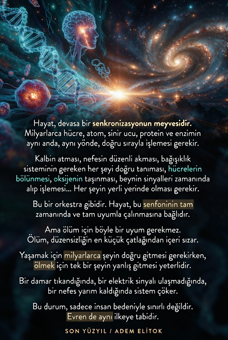 Adem Elitok tweet media