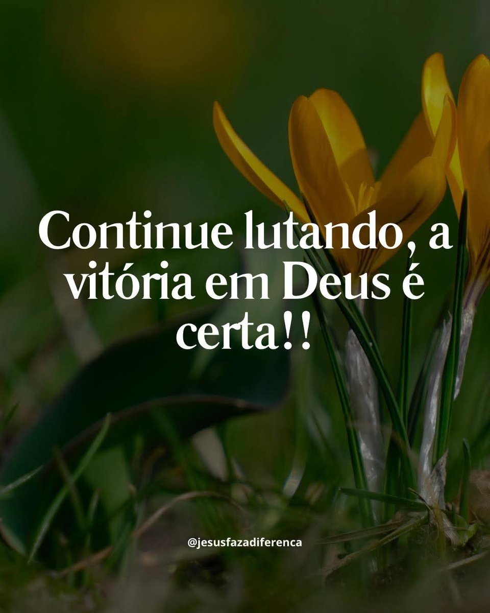Fatinha Mary tweet media