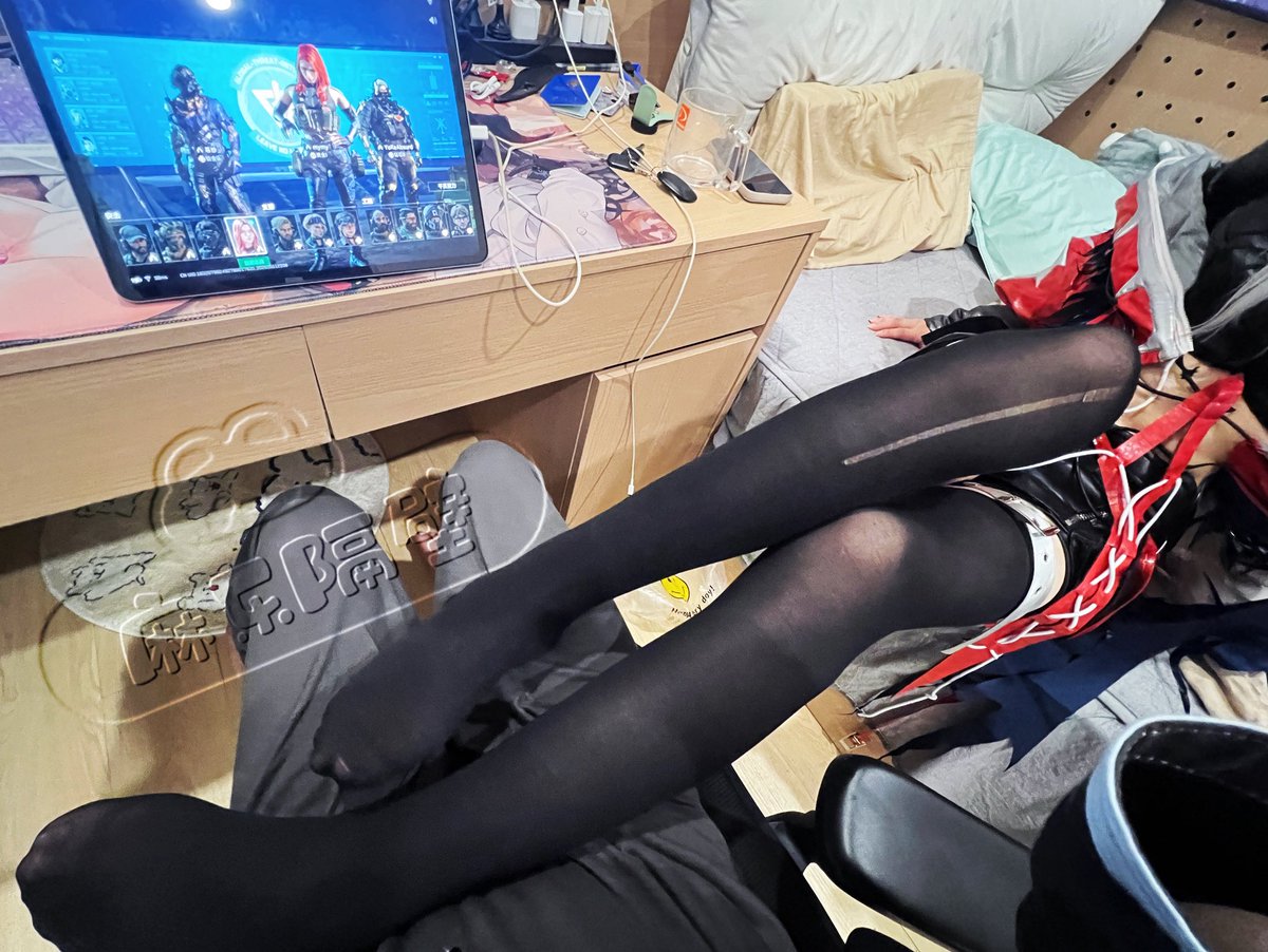 猫老屁股松放屁响叮咚（麻乐隔壁） tweet media
