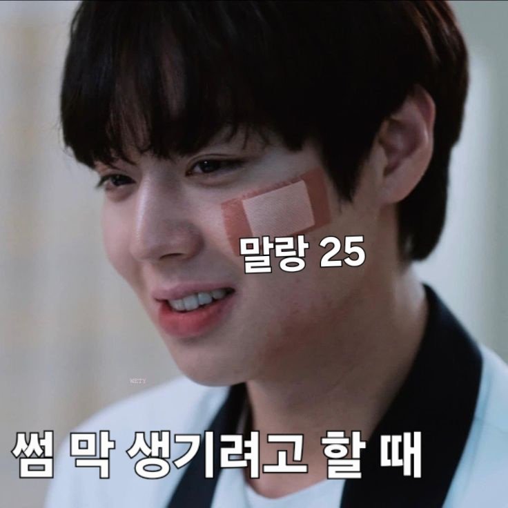 전국수시협회장 tweet media
