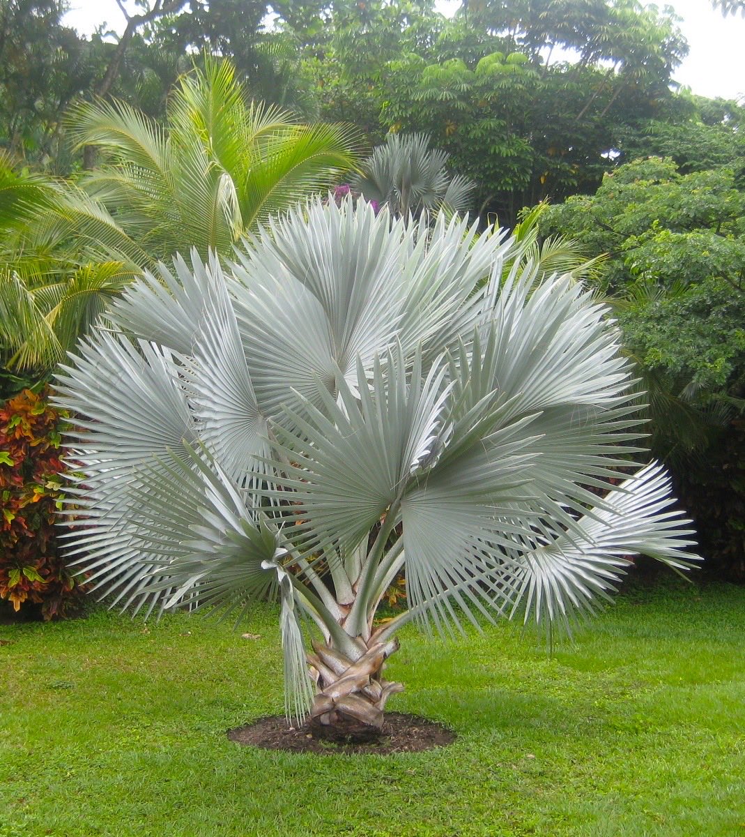 Botanique Designers tweet media