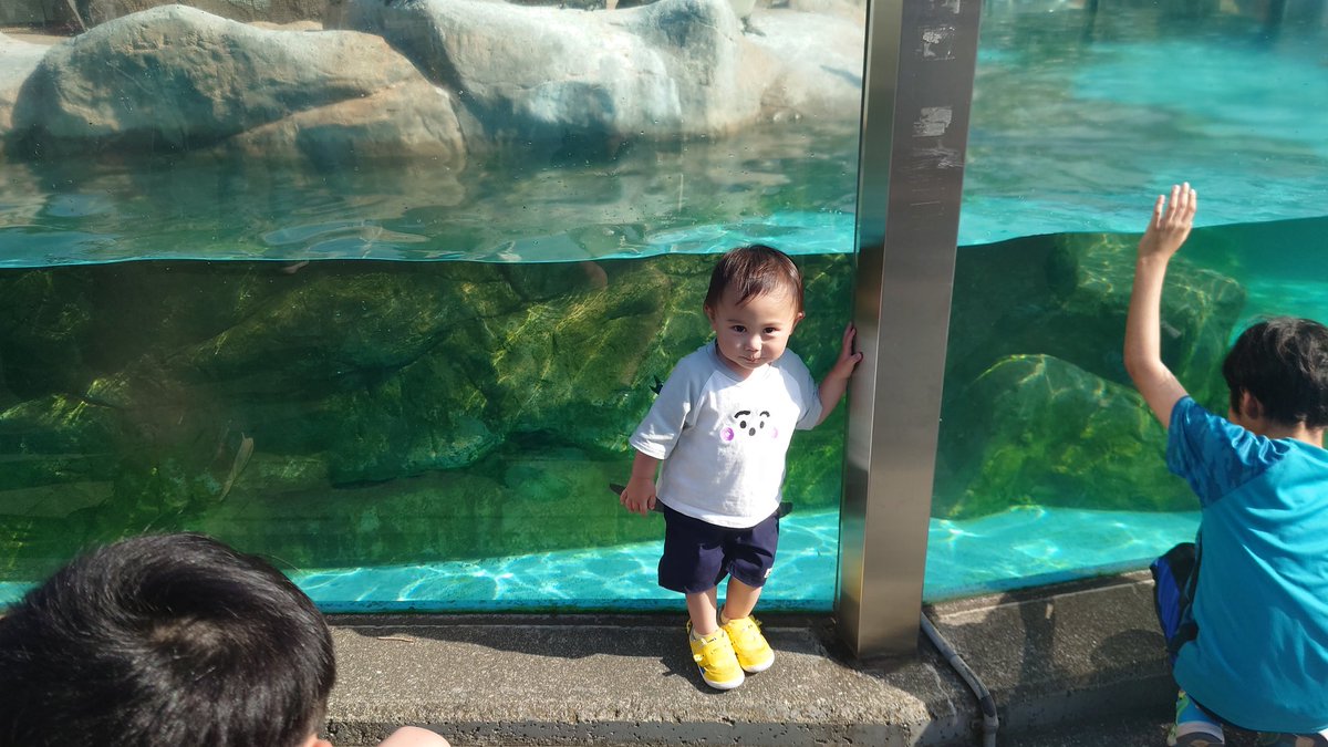 3ay92toshi's tweet photo. 動物の写真が載ってなかったので、動物園の雰囲気を追加しました。なかなか暑かったので、日焼けしました。 https://t.co/OMgdqR92eZ