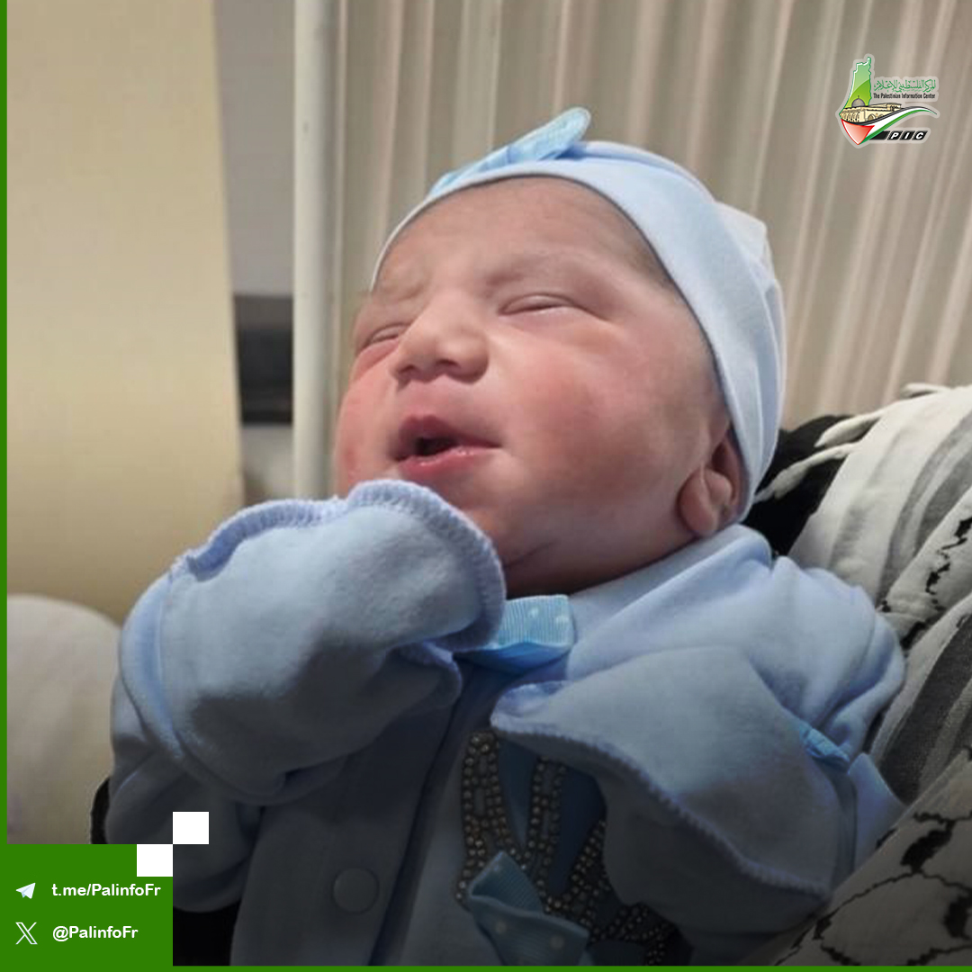 PalinfoFr's tweet image. #Photos ..L’épouse du martyr Nayef Samaro, tué hier par des tirs des forces d’occupation à Naplouse, donne naissance à son nouveau-né « Yaman »🔻
#SauvezLesPrisonniersPalestiniens
#StopAuxExécutions
#PalestineLibre
#DroitsHumains
#StopÀLInjustice
#StopAuCrime