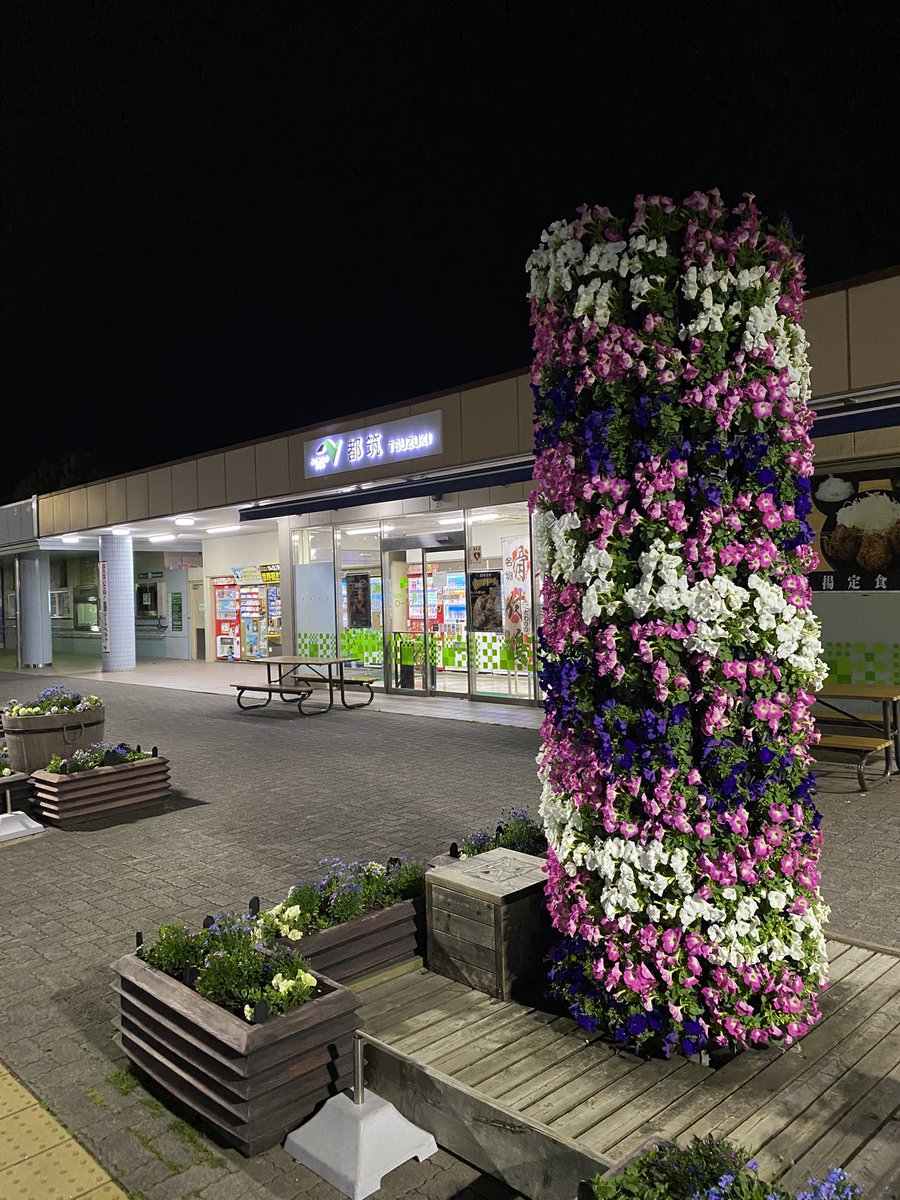 カムバック tweet media