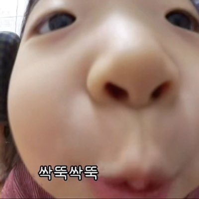 월수금휴지통비우기 tweet media