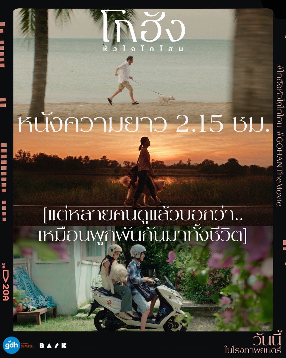 GDH tweet media