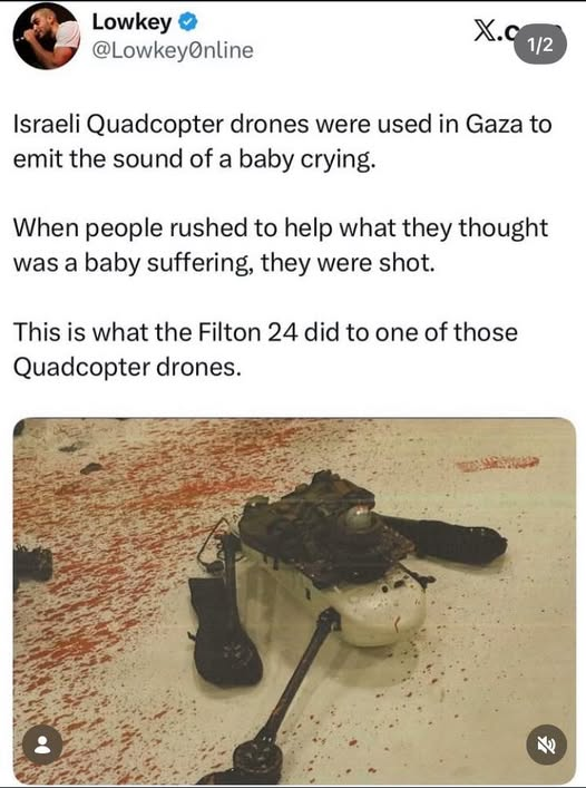 Deborah Mahmoudieh tweet media