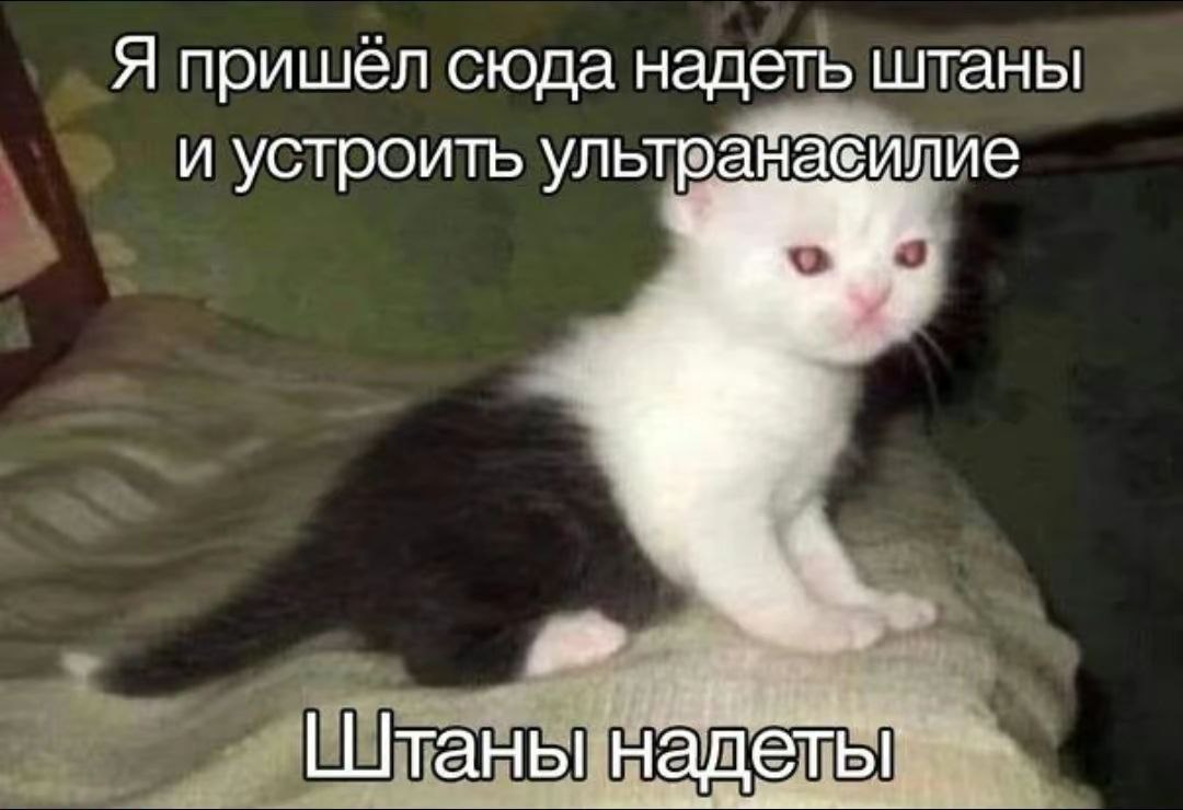 приготовиться к ультранасилию
