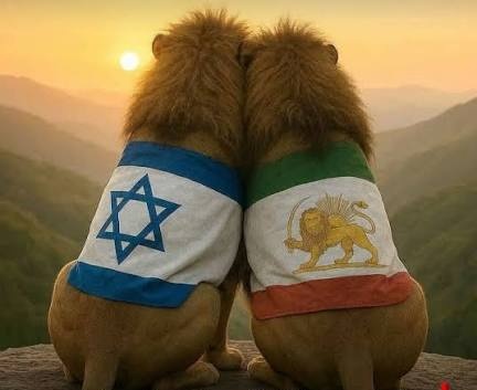 Ashkan - اشکان 🇮🇷 tweet media