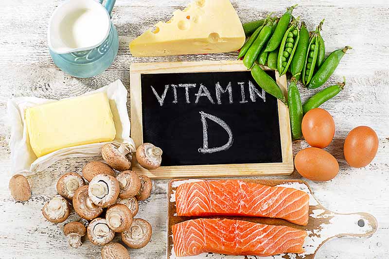 Gardeners_Path_'s tweet image. What Is the Top Plant-Based Source of Vitamin D? Soaking up your daily vitamin D can be done with more than just sunshine. Learn more about vitamin D and the top plant-based source now on Gardener's Path. gardenerspath.com/plants/vegetab… #nutrition #gardening