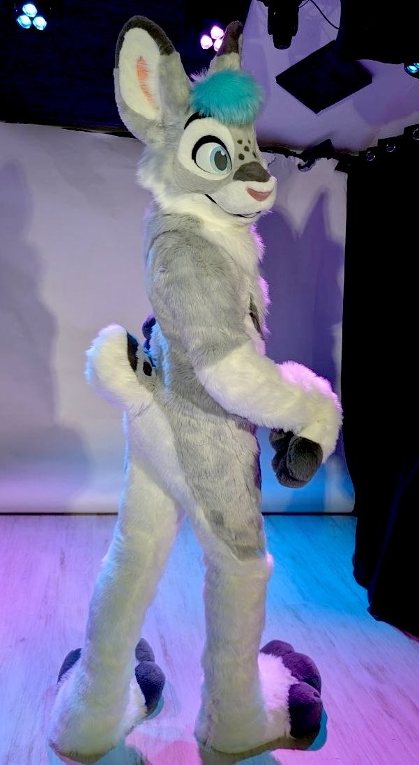 Aspen 🐰🩵 🔜 FWA tweet media