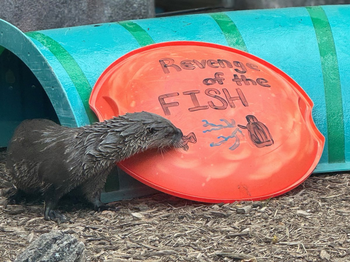 Kansas City Zoo & Aquarium tweet media