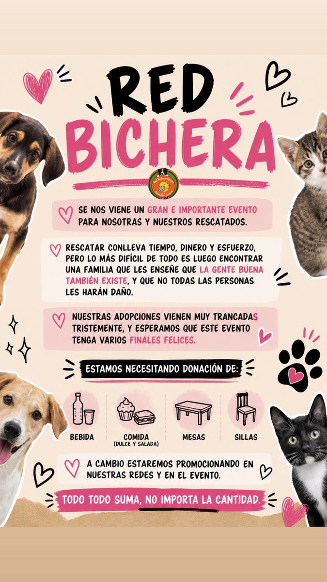 ¡Se viene el bingo solidario con jornada de adopción! 🐾
Estamos organizando un día hermoso para ayudar y darle una oportunidad a muchos peluditos que buscan familia💛
Para poder llevarlo adelante, necesitamos de su ayuda:
✨ Donaciones de comida dulce y salada
✨ Mesas y sillas